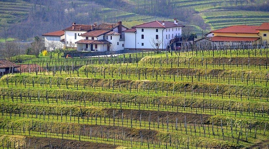 Italiaans boerenerf tussen glooiende wijngaarden op het platteland